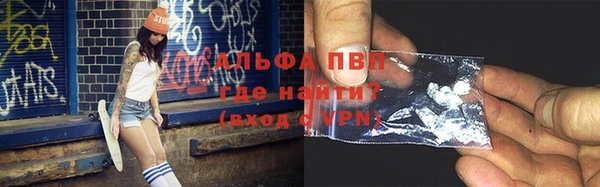 индика Вязники