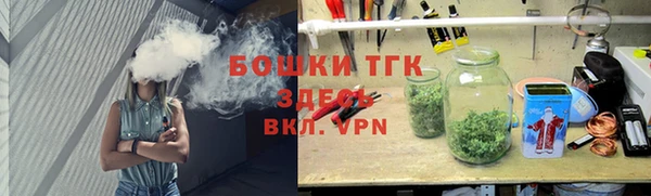 ECSTASY Вяземский
