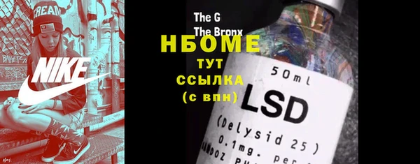 индика Вязники