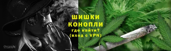ECSTASY Вяземский