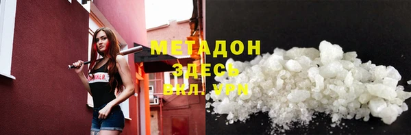 PSILOCYBIN Горняк