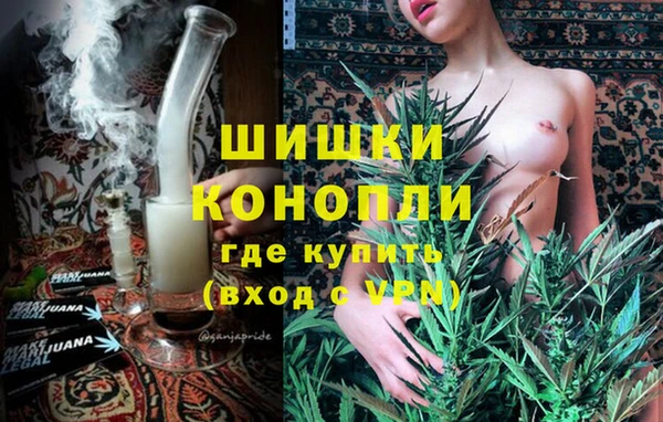 ECSTASY Вяземский