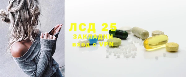 индика Вязники