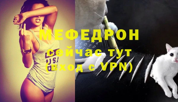 индика Вязники