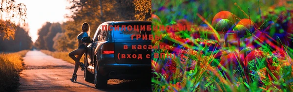 индика Вязники