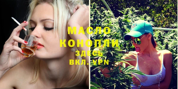 индика Вязники