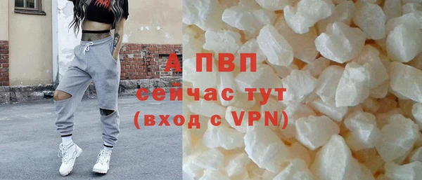 PSILOCYBIN Горняк