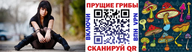 Псилоцибиновые грибы прущие грибы  Лиски 